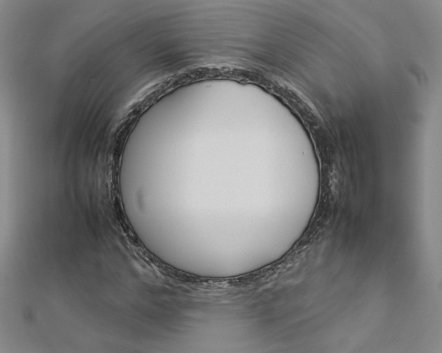 X0000113030968200908271051