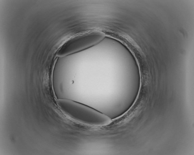 X0000113030969200908271051