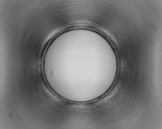 X0000113030970200908271051