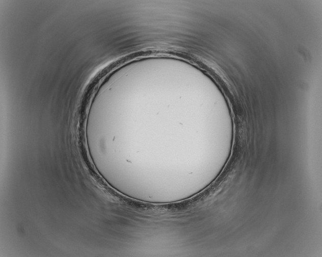 X0000113030971200908271051