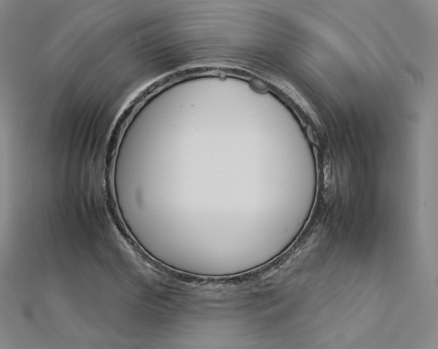 X0000113030972200908271051