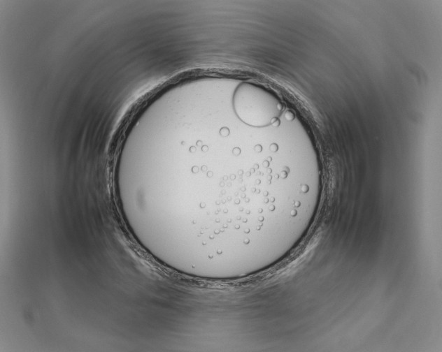 X0000113030974200908271051