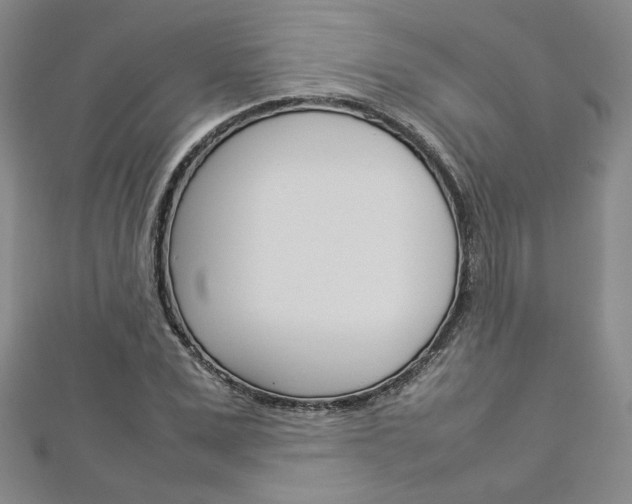 X0000113030975200908271051