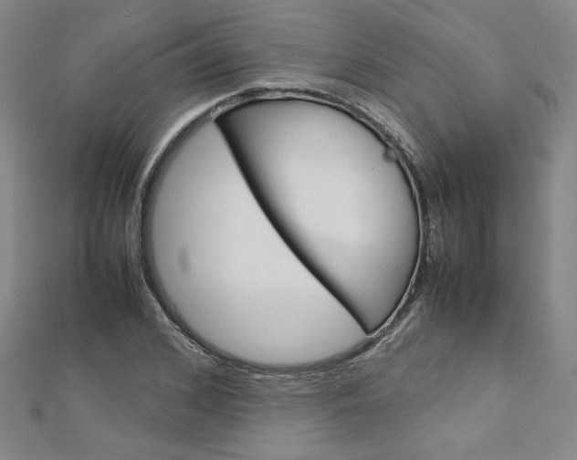 X0000113030976200908271051