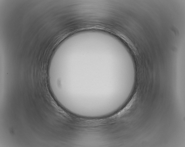 X0000113030977200908271051