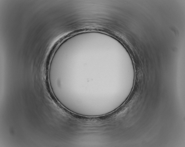 X0000113030979200908271051