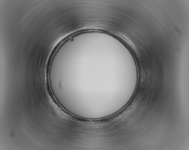 X0000113030980200908271051
