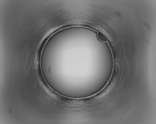 X0000113030981200908271051