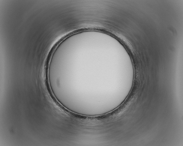 X0000113030983200908271051