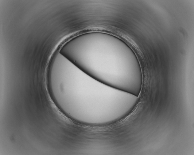 X0000113030984200908271051