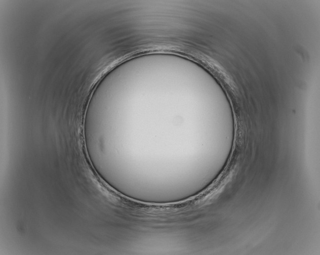 X0000113030985200908271051