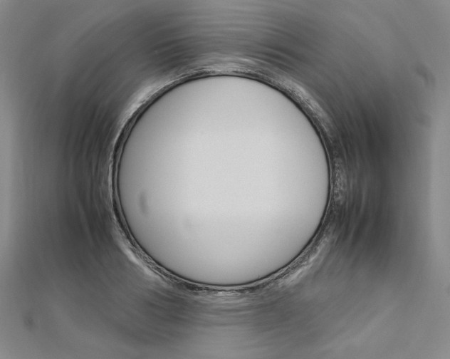 X0000113030986200908271051