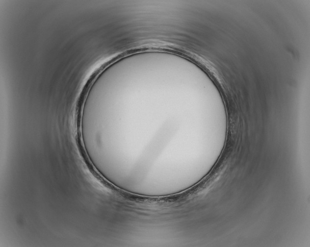 X0000113030987200908271051