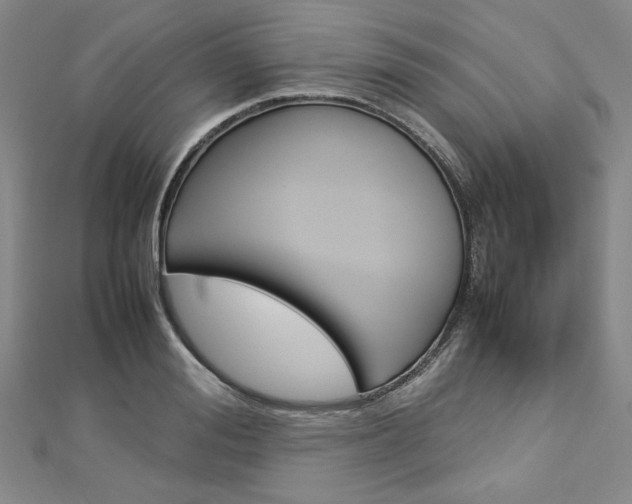 X0000113030988200908271051