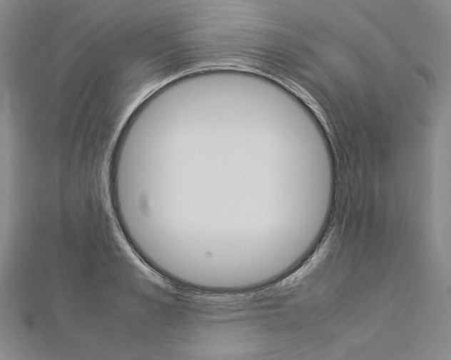 X0000113030989200908271051