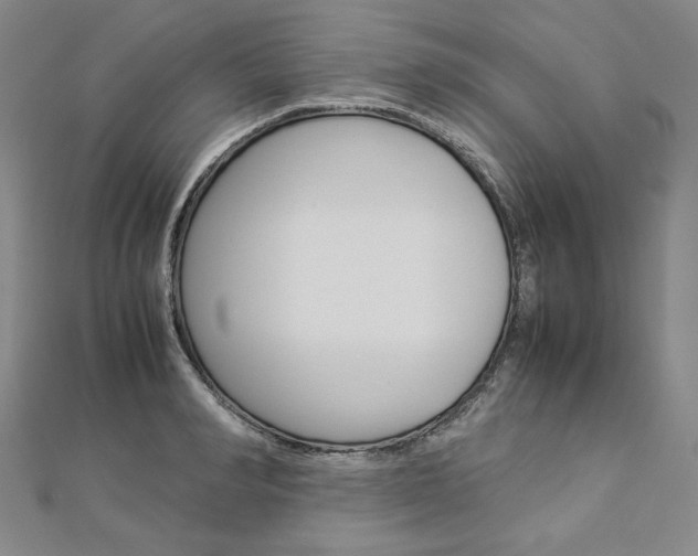 X0000113030990200908271051