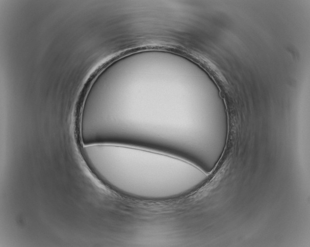 X0000113030991200908271051