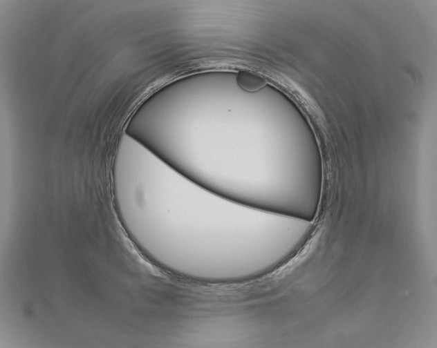 X0000113030993200908271051