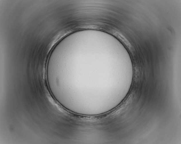 X0000113030994200908271051