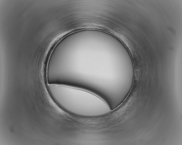 X0000113030995200908271051
