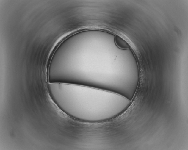 X0000113030996200908271051
