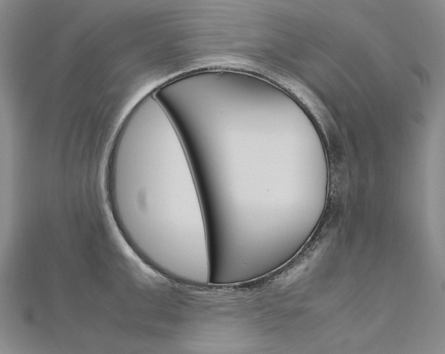 X0000113030999200908271051