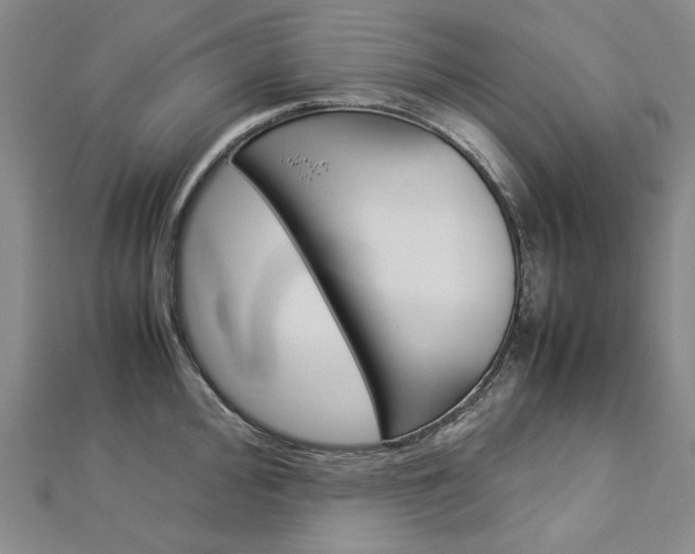 X0000113031000200908271051