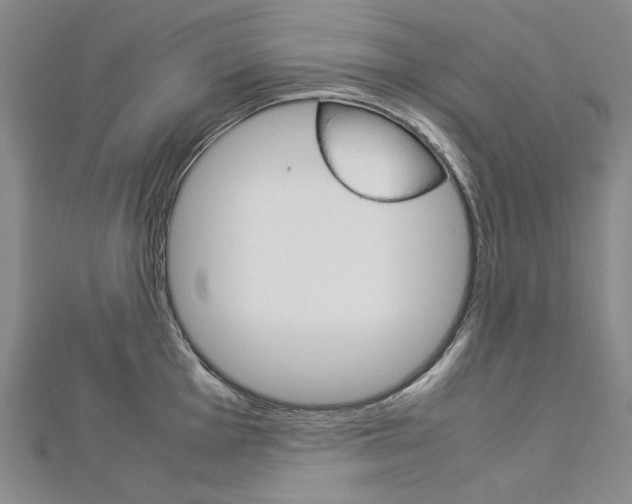 X0000113031001200908271051