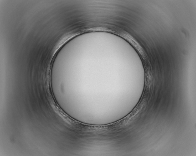 X0000113031002200908271051