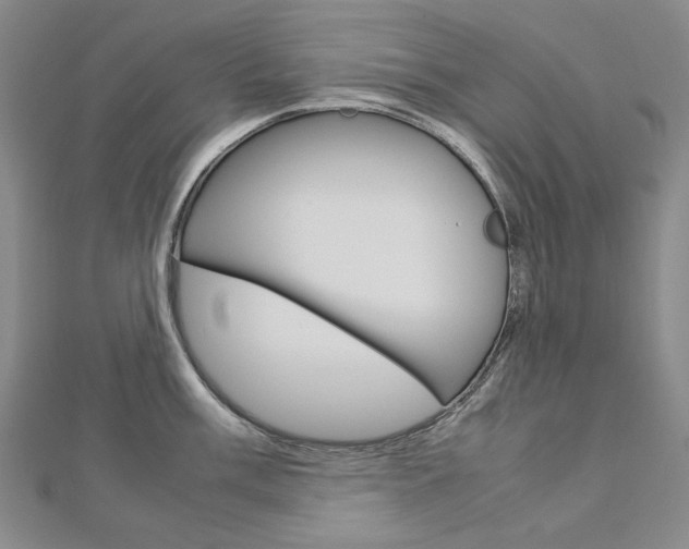 X0000113031003200908271051