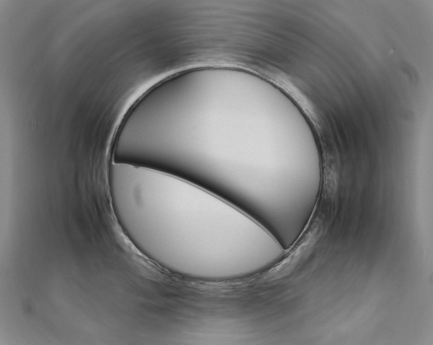 X0000113031004200908271051
