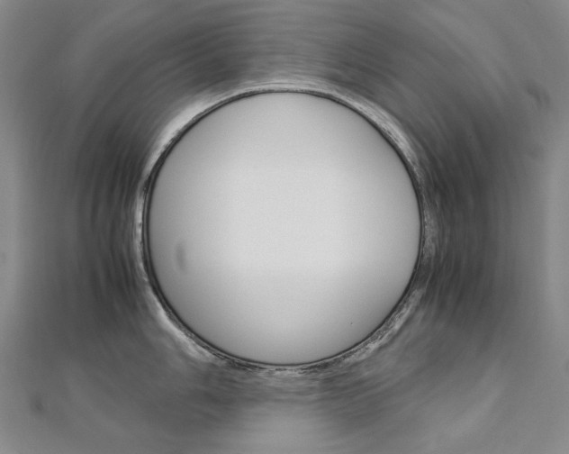 X0000113031006200908271051
