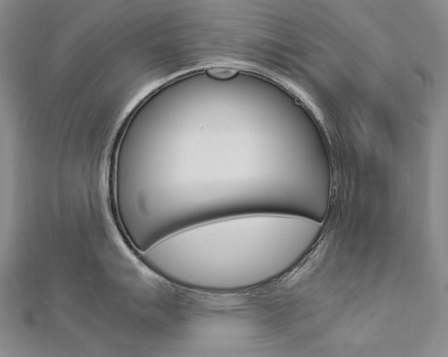 X0000113031007200908271051