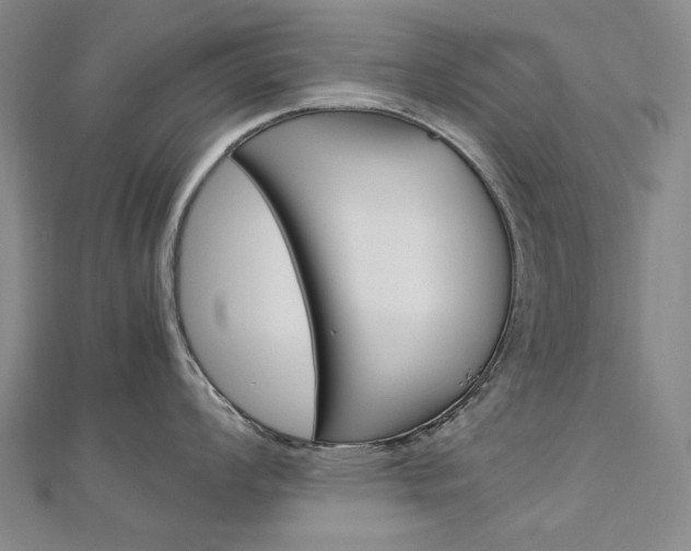 X0000113031008200908271051