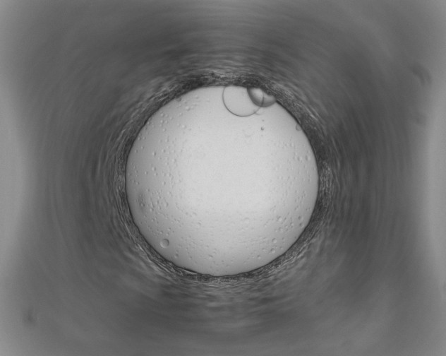 X0000113031009200908271050