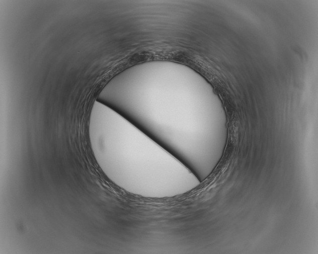 X0000113031010200908271050