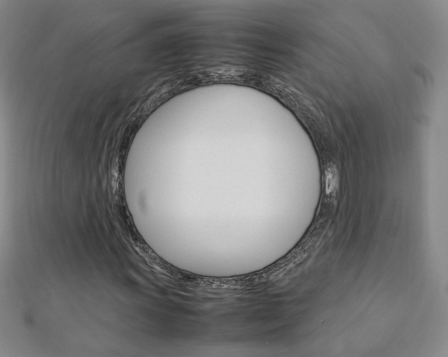 X0000113031011200908271050