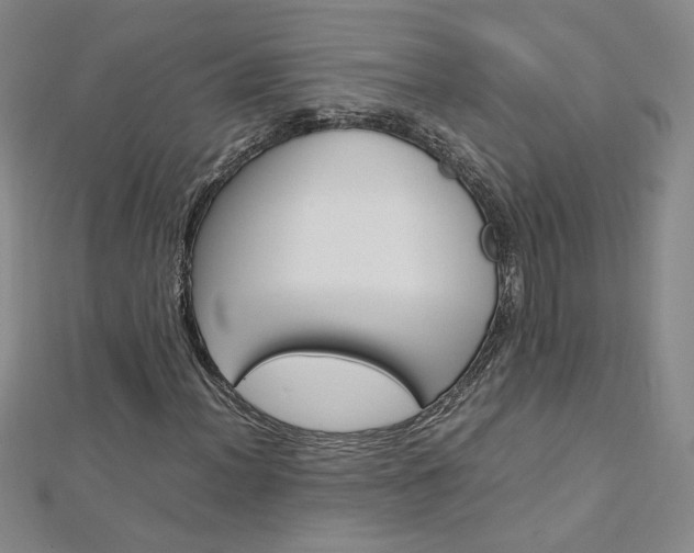 X0000113031012200908271050