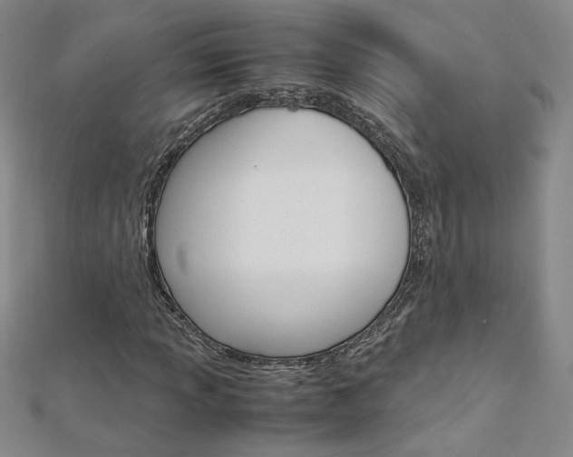X0000113031013200908271050