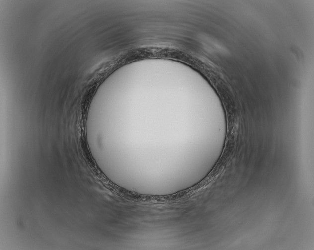 X0000113031014200908271050
