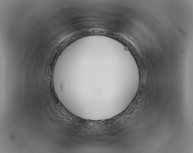 X0000113031015200908271050