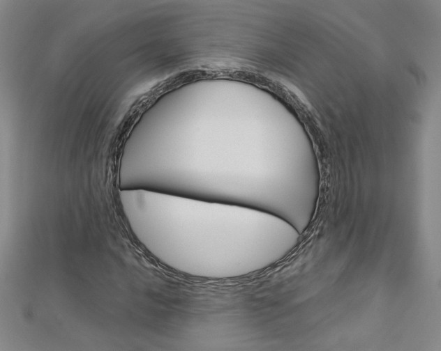 X0000113031016200908271050