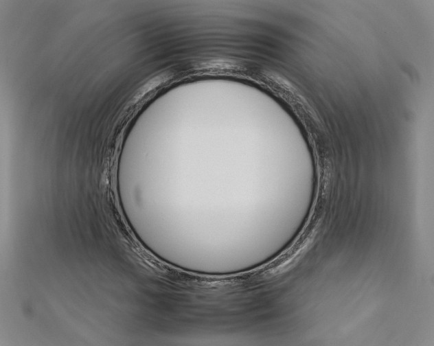 X0000113031017200908271050