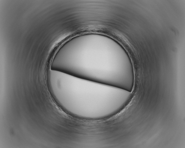 X0000113031018200908271050