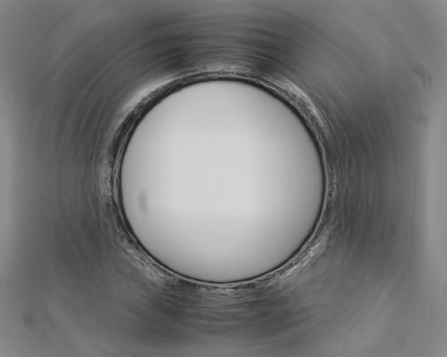 X0000113031019200908271050