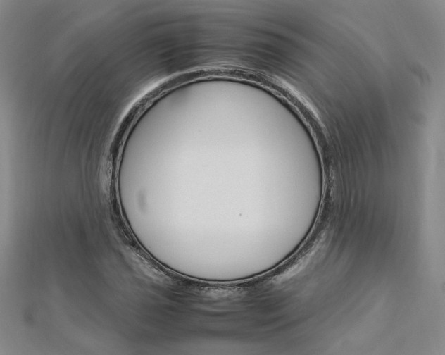 X0000113031021200908271050