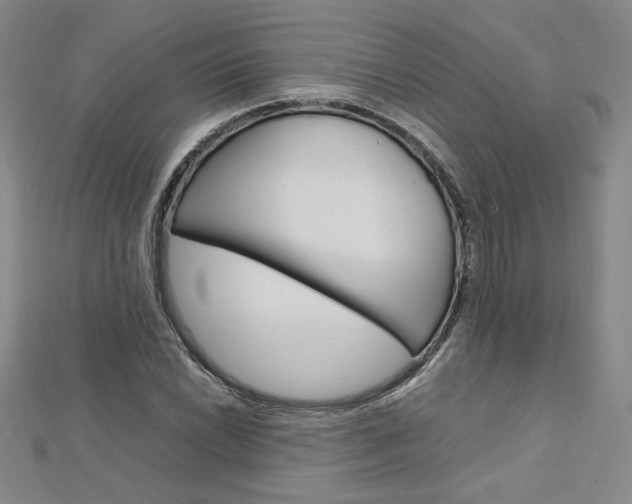 X0000113031022200908271050