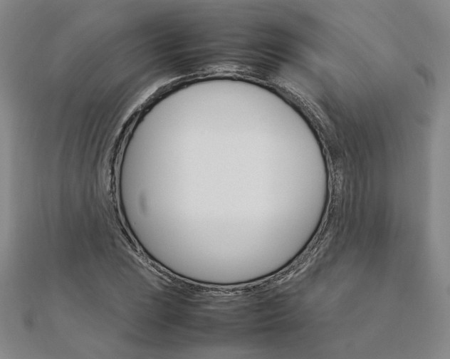 X0000113031023200908271050