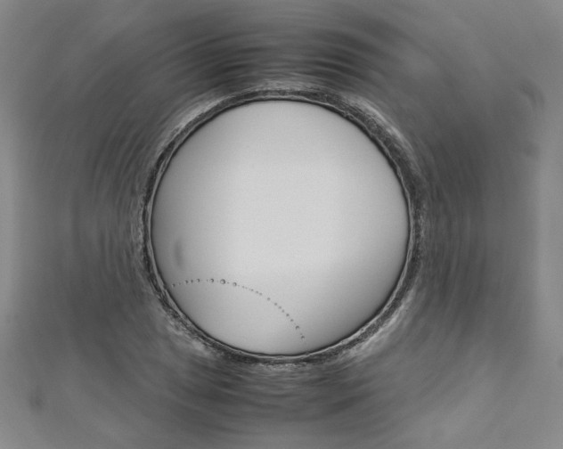 X0000113031025200908271050