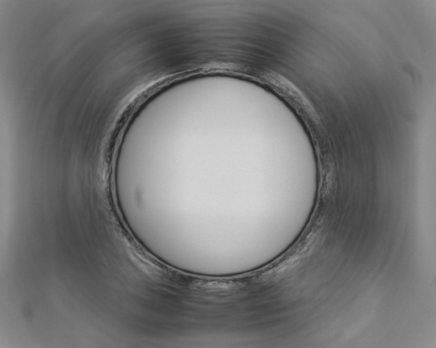 X0000113031027200908271050